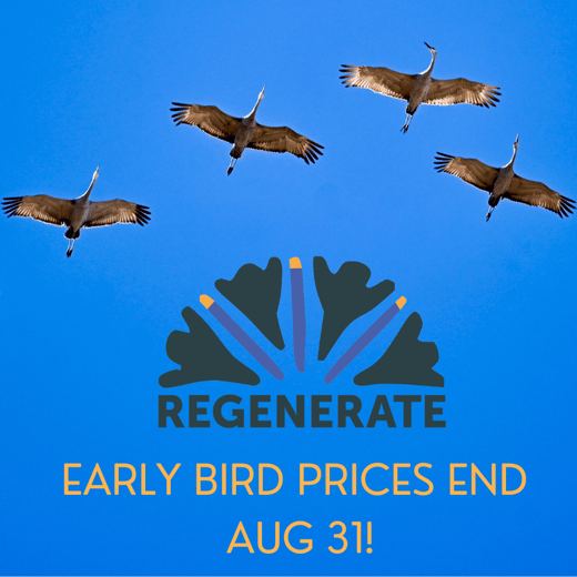 Early Bird post-1